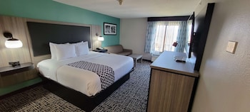 Standard Room, 1 King Bed, Non Smoking (with Sofabed)