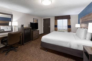 Room, 1 King Bed, Non Smoking