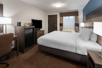Room, 1 King Bed, Non Smoking