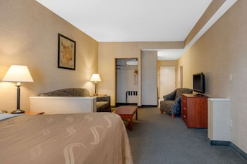 Suite, 1 King Bed with Sofa bed, Non Smoking, Kitchen (2 Person Sofa bed)