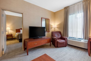 Suite, 1 King Bed with Sofa bed, Non Smoking (Larger Unit, 2 Person Sofa bed)