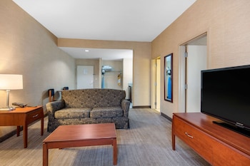 Suite, 1 King Bed with Sofa bed, Non Smoking (Larger Unit, 2 Person Sofa bed)