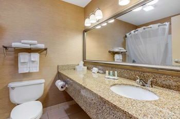 Suite, 1 King Bed with Sofa bed, Non Smoking, Kitchen (2 Person Sofa bed)
