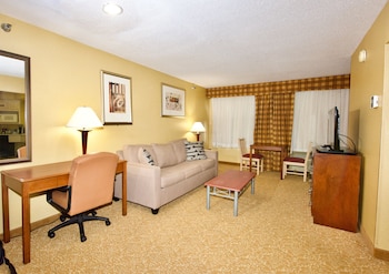 Suite, 1 King Bed