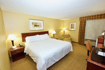 Standard Room, 1 King Bed