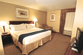 Standard Room, 1 King Bed with Sofa bed