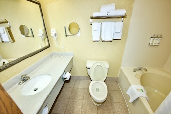 Suite, 1 King Bed