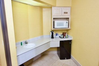 Suite, 1 King Bed