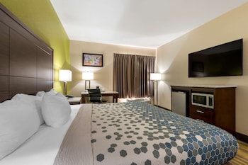 Standard Room, 1 King Bed, Non Smoking
