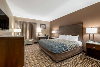 Room, 1 King Bed, Accessible, Non Smoking