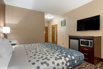 Room, 1 King Bed, Accessible, Non Smoking