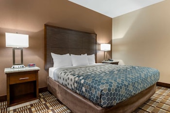 Room, 1 King Bed, Accessible, Non Smoking
