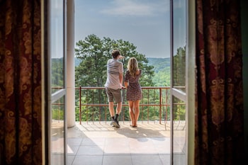 Premium Single Room, 1 King Bed, Resort View