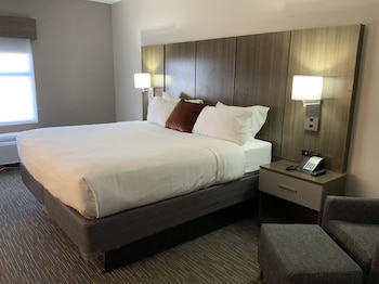 Studio Suite, 1 King Bed, Non Smoking