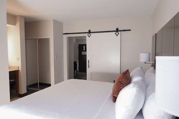 Studio Suite, Non Smoking (2 King Beds)