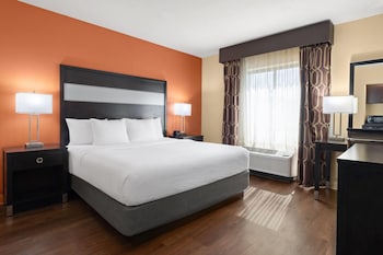 Deluxe Room, 1 King Bed, Non Smoking (Deluxe Family Room)
