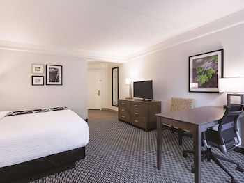 Room, 1 King Bed, Non Smoking