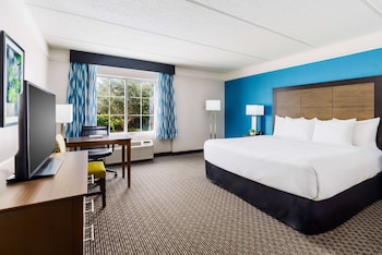Room, 1 King Bed, Accessible, Non Smoking (Mobility/Hearing, Bathtub w/Grab Bars)