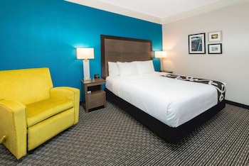 Room, 1 King Bed, Accessible, Non Smoking (Mobility/Hearing, Bathtub w/Grab Bars)