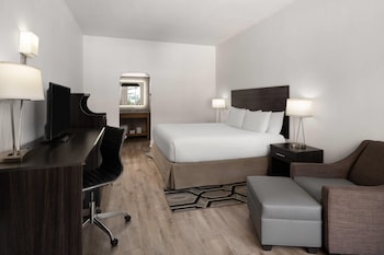 Room, 1 King Bed, Roll-in Shower, Non Smoking