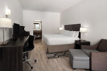 Room, 1 King Bed, Roll-in Shower, Non Smoking