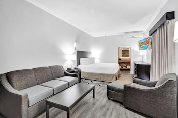 Suite, 1 King Bed with Sofa bed, Non Smoking