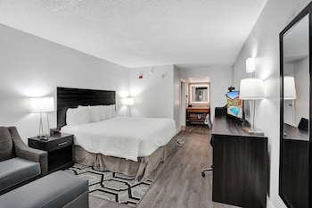 Room, 1 King Bed, Roll-in Shower, Non Smoking