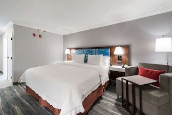 Room, 1 King Bed, Accessible