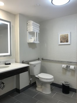 Room, 1 King Bed, Accessible