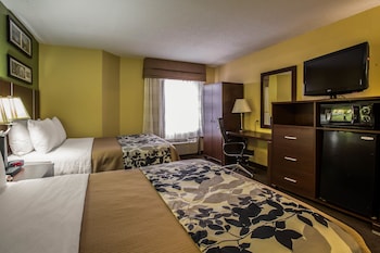 Standard Double Room, 2 Double Beds, Non Smoking