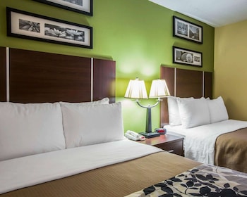 Standard Double Room, 2 Double Beds, Non Smoking