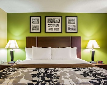 Standard Room, 1 King Bed, Non Smoking