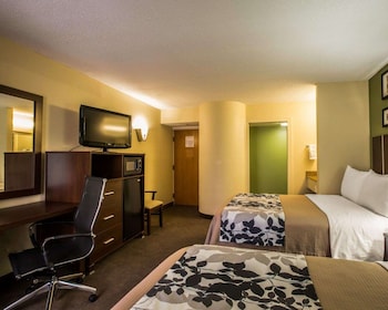 Standard Double Room, 2 Double Beds, Non Smoking