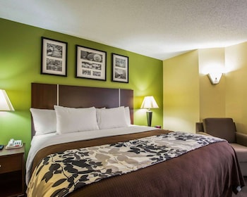 Standard Room, 1 King Bed, Non Smoking