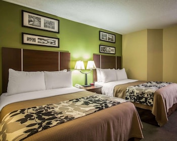 Standard Double Room, 2 Double Beds, Non Smoking