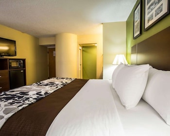 Standard Room, 1 King Bed, Non Smoking