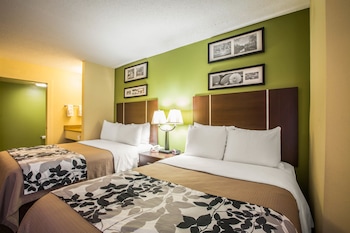 Standard Double Room, 2 Double Beds, Non Smoking
