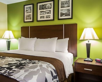 Standard Room, 1 King Bed, Non Smoking