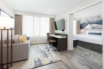 Suite, 1 King Bed with Sofa bed