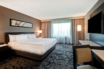 Suite, 1 King Bed (Hospitality)