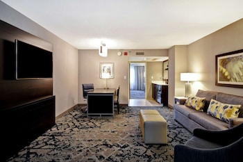 Suite, 1 King Bed with Sofa bed, Non Smoking