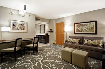 Premium Suite, 1 King Bed (Wellness, In-room air purification)