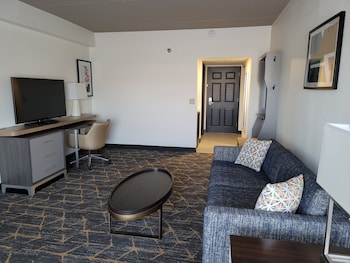 Suite, 1 King Bed with Sofa bed