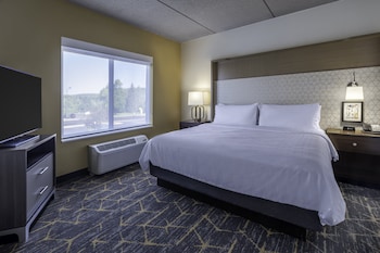Suite, 1 King Bed with Sofa bed