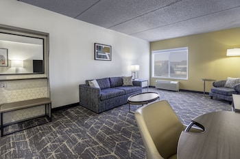 Standard Room, 1 King Bed with Sofa bed