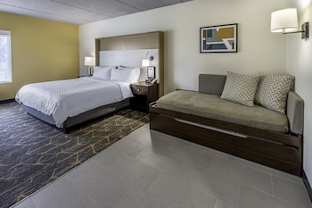 Suite, 1 King Bed with Sofa bed