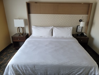 Suite, 1 King Bed with Sofa bed
