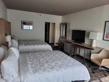 Suite, Multiple Beds