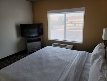 Suite, 1 King Bed with Sofa bed
