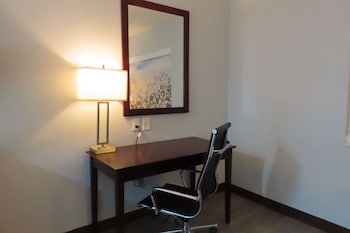 Standard Room, 1 King Bed, Accessible, Refrigerator & Microwave